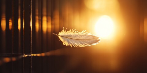 Wall Mural - A delicate feather floats in the golden light of sunset. This serene image captures the beauty of nature and the elegant simplicity of a feather. Ideal for nature or tranquility themes. AI