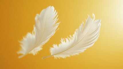 Wall Mural - two delicate white feathers gently floating midair creating a serene and peaceful atmosphere set aga