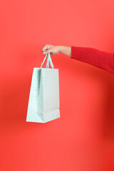 Wall Mural - Hand Holding shopping bag