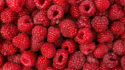 Wall Mural - Tasty fresh raspberry as a background.