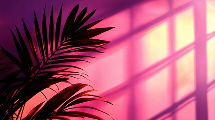 Poster -   A close-up of a palm tree in front of a window, with sunlight filtering through the panes