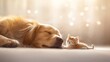 © Olga - A dog and a kitten rest on the floor, eyes closed, heads resting