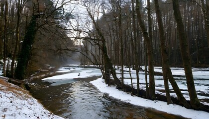 Wall Mural - river in the forest in winter