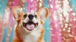 © Maximages  - A cheerful corgi dog with a wide smile stands against a vibrant backdrop of pink and blue streamers, showcasing joy and playfulness in its expression.