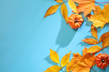 Wall Mural - Autumn composition with yellow leaves branches and pumpkins on blue background. Flat lay, top view, copy space.
