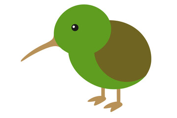 Wall Mural - Cute kiwi bird vector art illustration