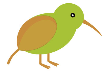 Wall Mural - Cute kiwi bird vector art illustration