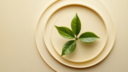 Leinwandbilder - Fresh green tea leaves are elegantly placed on a circular beige plate, showcasing a minimalist aesthetic that emphasizes natural beauty. Generative AI