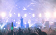 © Take Production - musician, party, entertainment, festival, applauding, audience, dancing, disco, live, nightclub. A concert with a crowd of people and a man singing in the middle. The crowd is waving their hands.