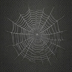 Wall Mural - spider web with dew drops