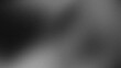 © Sami - Abstract dark monochrome gray white black color wave glowing grainy gradient backdrop design, copy space