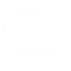 Wall Mural - White cloud in blue sky
