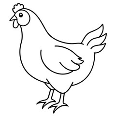 Chicken vector illustration.