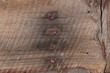 © Pisan - Old wooden texture for background that has natural cracks.