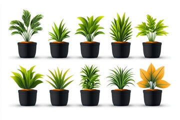 Neatly arranged rows of potted tropical plants in black planters highlighting modern indoor gardening plant care and minimalist home decor trends