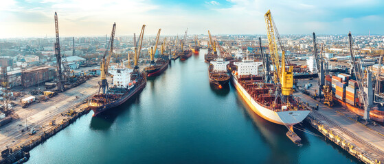 Wall Mural - Aerial view of busy cargo ships and cranes operating in a bustling dockyard during daytime in a vibrant shipping port