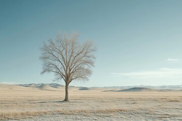 An isolated, bare tree stands gracefully against a serene, wintry backdrop, lined by distant hills, embodying tranquility and stark beauty in simplicity.