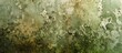 © StockKing - Detailed wall texture featuring mold spots moss damaged paint layers and grunge strokes is ideal for analyzing anti fungal paint with copy space image