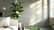 © Gular - House Plant decoration Ficus Elastica near wall in the living room