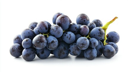 Wall Mural - A cluster of dark blue grapes with a green stem, isolated on a white background.