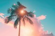 © Isuru - Silhouette palm tree on sunset sky. Summer vacation concept. Vintage filter.