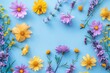 © Isuru - Yellow and purple flowers on pastel blue background. Spring concept.