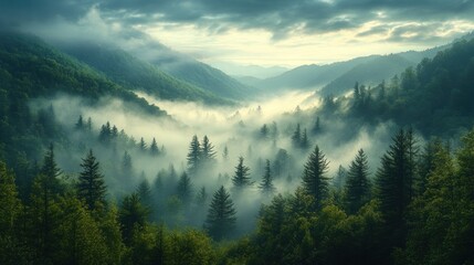 Naklejka na meble Serene misty valley surrounded by lush green forests at dawn.