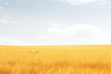 Wall Mural - Golden wheat field under sky