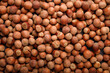 © elenaseiryk - many raw hazelnuts in shells, making total background, natural food texture, pattern. Top view