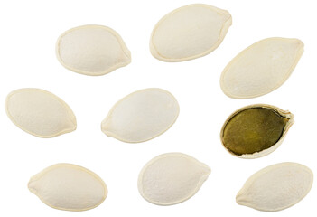 Wall Mural - Scattered roasted pumpkin seeds isolated on a transparent background. Completely in focus. Top view.