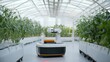 © ArpPSIqee - A futuristic robotic system managing automated agricultural tasks in a high-tech greenhouse, clean and organized environment with a focus on smart farming technology, Agricultural style