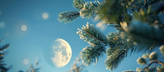 Wall Mural - a serene night scene with a picturesque moon hanging in the clear blue sky and blurry spruce tree br