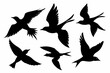 © Trendy CraftSVG  - Flock of flying birds silhouette vector, Flying bird black silhouette vector set