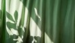 © AustinSANC - abstract foliage sunlight shadow silhouette on sage green linen curtain elegant sustainable background for eco business branding identity