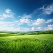 © AustinSANC - bucolic field scene grass landscape illustration sky beautiful summer day green outdoor bucolic field scene grass landscape