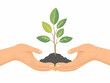 © GG Kenji - Flat Hands Hold Sapling Copy Space Glossy Background Close-Up Growth Innovation Environmental Stewardship ESG Business Vector Illustration