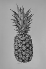 Sticker - Drawing of a pineapple in pencil on white paper, detailed sketch, soft shading, realistic texture.