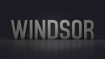 Canvas Print - Modern Typography: The word 'Windsor' displayed in bold, three-dimensional letters against a dark background, ideal for branding use.