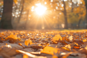 Wall Mural - Orange and yellow autumn leaves background. Generative Ai.