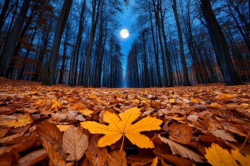Wall Mural - Gothic November forest, with long shadows cast by twisted trees and a full moon illuminating the fallen leaves in an eerie light