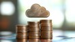 © Hasnain Arts - Stacks of coins topped with a cloud icon conceptualize financial planning in cloud computing, emphasizing cost management and budgeting strategies.