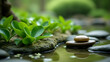 © fotoluigi868 - Tea leaves in a peaceful zen garden set a serene natural scene amidst tranquil surroundings.