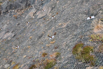 a steel net as security against falling rocks