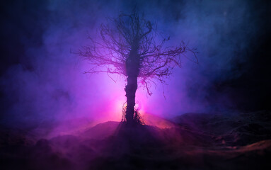 Wall Mural - silhouette of scary halloween tree with horror face on dark foggy toned background with moon on back