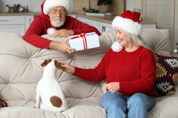 Wall Mural - Happy mature couple with cute dog and gift at home on Christmas eve