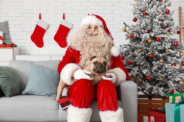 Canvas Print - Santa Claus with cute French bulldog in room decorated for Christmas