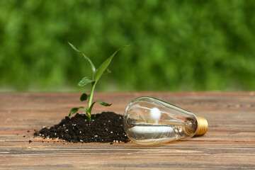 Light bulb with sprout on table outdoors. Green Energy concept