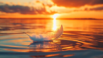 Poster - beautiful sunset on the water and feathers on the water