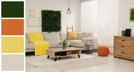 Aufkleber - Stylish living room with comfortable sofa near window. Interior design and matching color palette