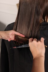 Wall Mural - Hair cutting. Professional hairdresser working with client in salon, closeup